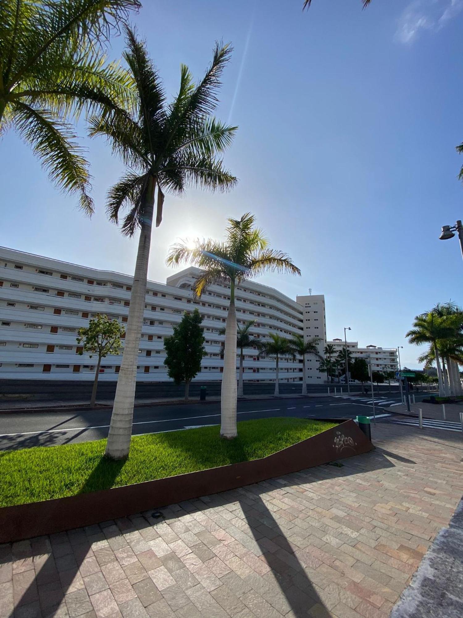 Nice Apartment In Las Americas/Costa Adeje 1 بلايا ذي لاس أميريكاس المظهر الخارجي الصورة
